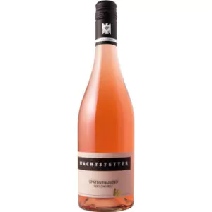 2021 spaetburgunder rose weissherbst halbtrocken weingut wachtstetter 646 - Die Welt der Weine