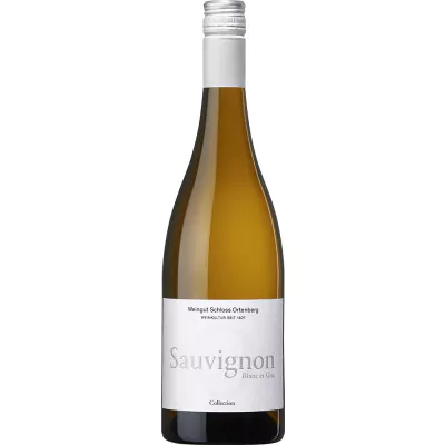 2022 collection sauvignon blanc sauvignon gris trocken weingut schloss ortenberg 6f9 - Die Welt der Weine