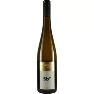 2022 hambacher rebstoeckel sauvignon blanc trocken weingut mueller kern 5bd - Die Welt der Weine