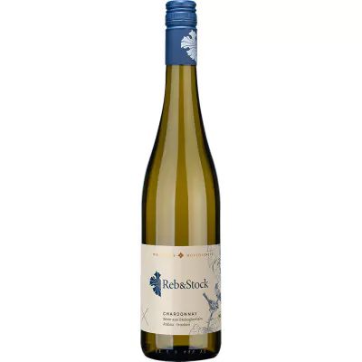 2022 reb stock chardonnay trocken bio weinhaus hofloessnitz b38 - Die Welt der Weine