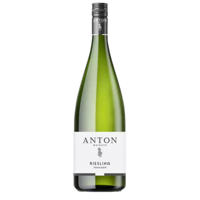 2022 riesling trocken 1 0 l weingut anton 019 - Die Welt der Weine