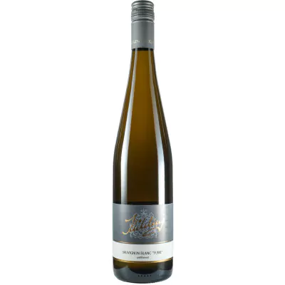 2022 sauvignon blanc fume unfiltered trocken bio weingut kuehling f9f - Die Welt der Weine