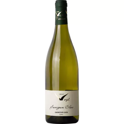 2022 sauvignon blanc geniesser wein trocken weingut siegfried vogel 33d - Die Welt der Weine