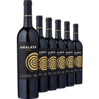 2020 Amalaya Malbec im 6er Vorratspaket - Die Welt der Weine