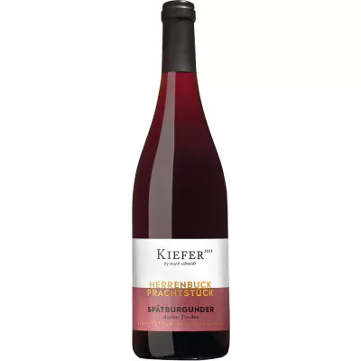 2020 prachtstueck spaetburgunder auslese trocken weingut friedrich kiefer 6b4 - Die Welt der Weine