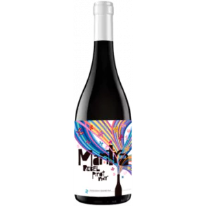 mantra rebel pinot noir 2021 secreto patagonico bodegas y vinedos - Die Welt der Weine