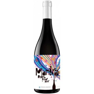 mantra rebel pinot noir 2021 secreto patagonico bodegas y vinedos - Die Welt der Weine