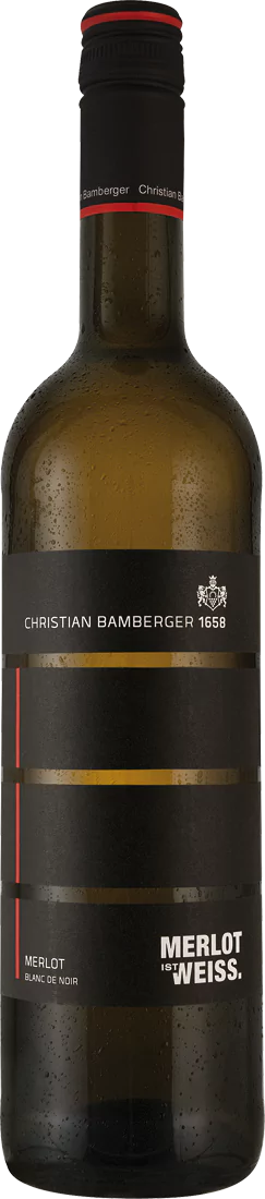 010314 Bamberger Merlot Blanc de Noir JG18 - Die Welt der Weine