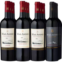 12er Probierpaket Edle Rothschild Mas Andes Entdeckungen - Die Welt der Weine
