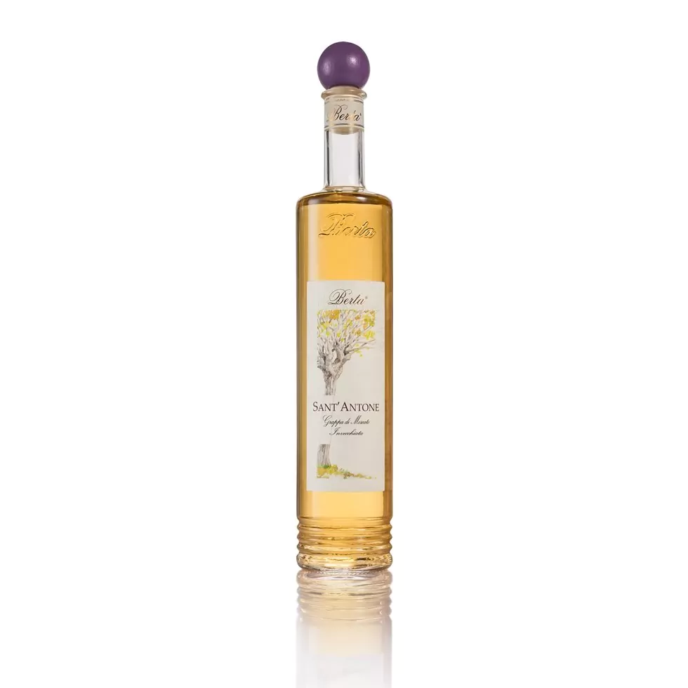 berta grappa di moscato invecchiata sant antone affinata 0 7 10 - Die Welt der Weine