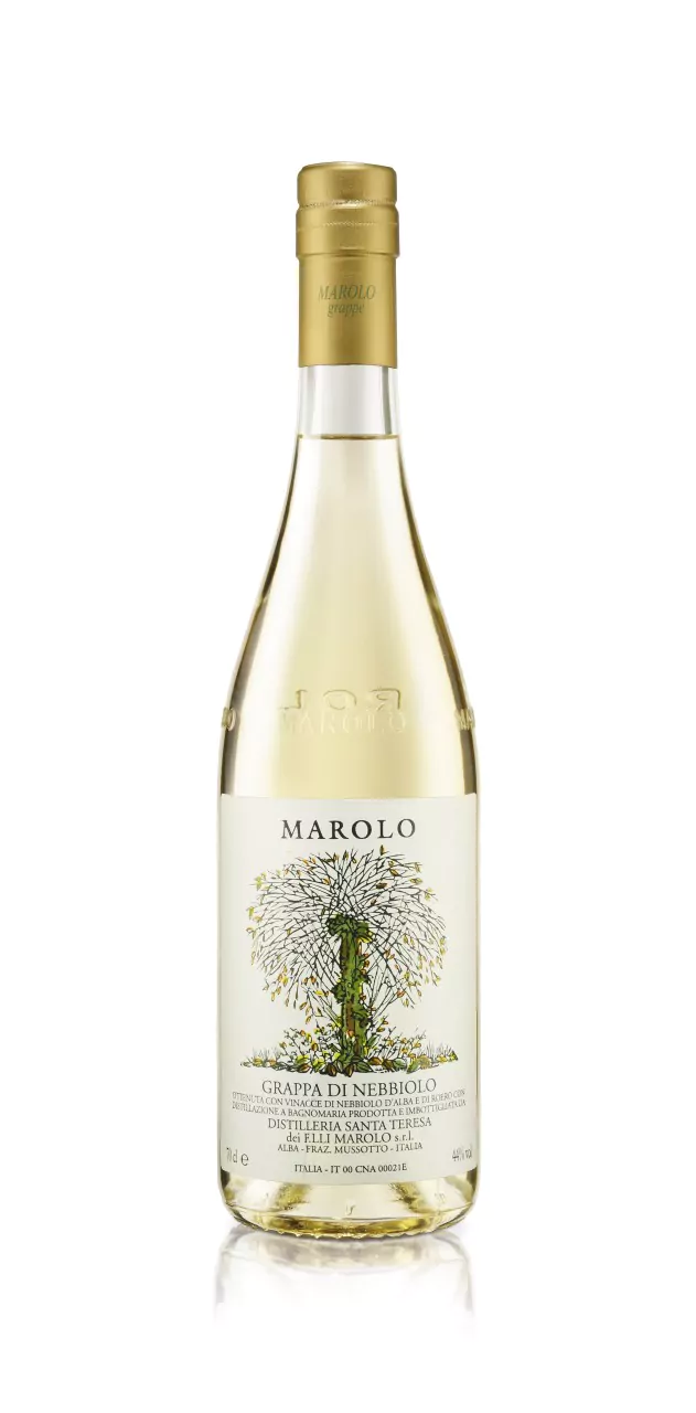 marolo grappa dolcetto 0 7 l 4070 10 - Die Welt der Weine