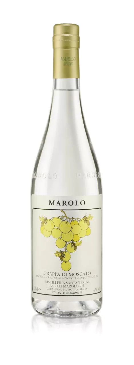 marolo grappa moscato 0 7 l 4085 10 - Die Welt der Weine