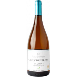 sauvignon blanc 2020 casas de bucalemu - Die Welt der Weine