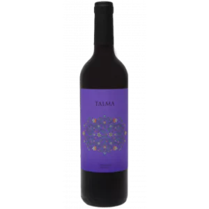 talma garnacha 2021 bodegas bastida - Die Welt der Weine