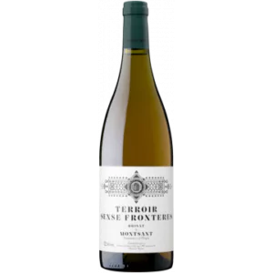 terroir sense fronteres brisat blanc 2022 terroir al limit - Die Welt der Weine