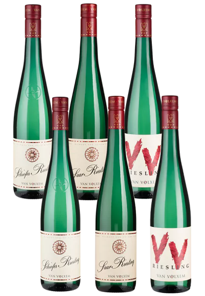 2000014004 WP shopgr - Die Welt der Weine