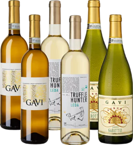 gavi selezione weinpaket - Die Welt der Weine