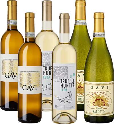 gavi selezione weinpaket - Die Welt der Weine