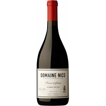 la savante pinot noir 2021 domaine nico - Die Welt der Weine