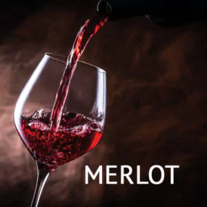 weinpaket merlot 15106 600x600 - Die Welt der Weine