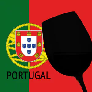 weinpaket portugal 15572 600x600 - Die Welt der Weine