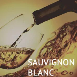 weinpaket sauvignon blanc 15080 600x600 - Die Welt der Weine