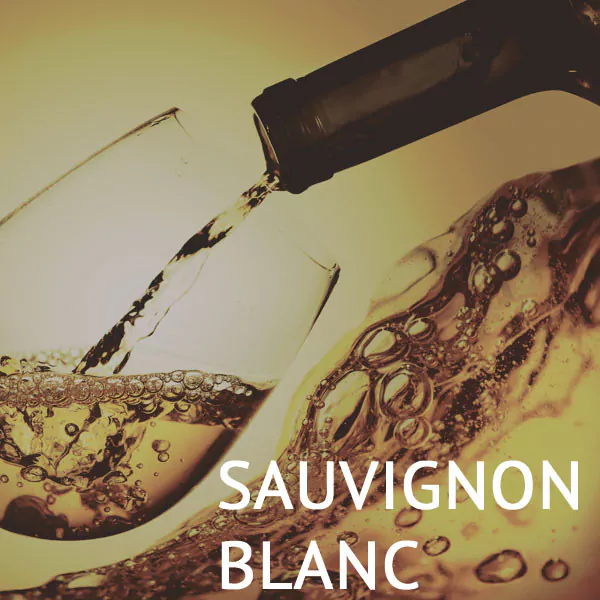 weinpaket sauvignon blanc - Die Welt der Weine