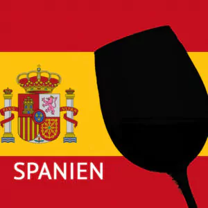 weinpaket spanien 15504 600x600 - Die Welt der Weine