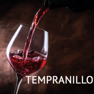 weinpaket tempranillo 15079 600x600 - Die Welt der Weine