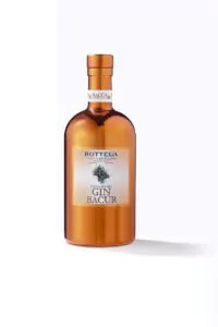 bottega bacur gin 0 7 3299 10 bot7 1280x1280 - Die Welt der Weine