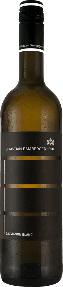 011040 Bamberger Sauvignon Blanc l - Die Welt der Weine