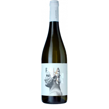 favugne falanghina bianco 2022 cantine teanum - Die Welt der Weine