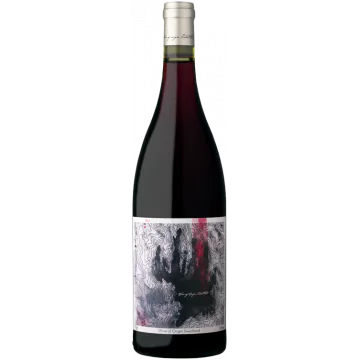 topography pinotage 2021 david nadia - Die Welt der Weine