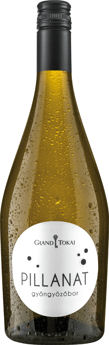 014799 Tokaji Pillanat Cuvee - Die Welt der Weine