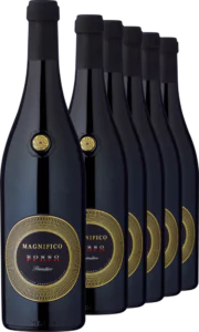 2021 Magnifico Fuoco Primitivo im 6er Vorratspaket - Die Welt der Weine