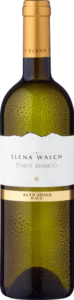 Elena Walch Pinot Bianco - Die Welt der Weine