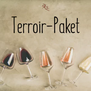Terroir Paket 2023 1280x1280 - Die Welt der Weine