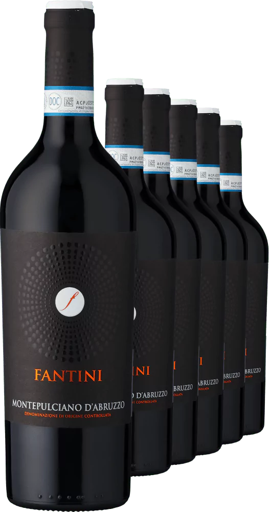 2021 Fantini Montepulciano dAbruzzo im 6er Vorratspaket - Die Welt der Weine