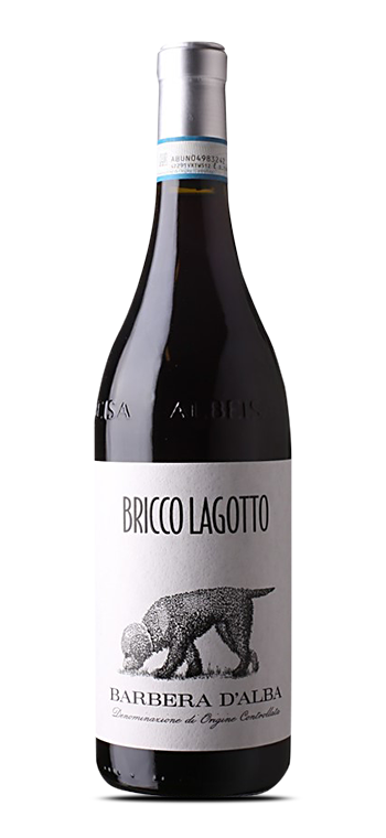 Bricco Lagotto Barbera DAlba - Die Welt der Weine