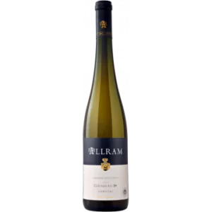 gruner veltliner ried gaisberg 1otw 2021 allram - Die Welt der Weine