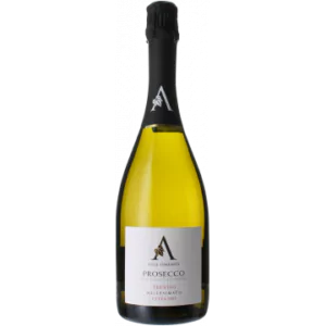 magnum prosecco doc treviso extra dry millesimato 2022 ville d arfanta - Die Welt der Weine