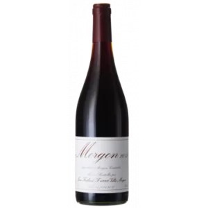 morgon 2021 jean foillard - Die Welt der Weine