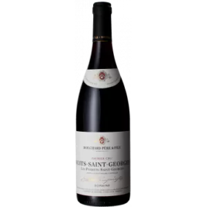 nuits saint georges 1er cru les porrets saint georges 2016 bouchard pere et fils domaine - Die Welt der Weine