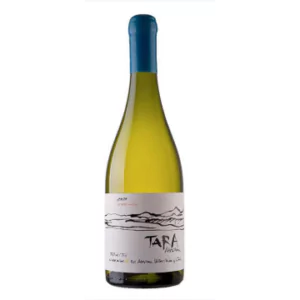 white wine n3 2022 sauvignon blanc tara - Die Welt der Weine