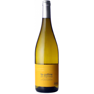 la colline en flamme blanc 2023 romain paire domaine des pothiers - Die Welt der Weine