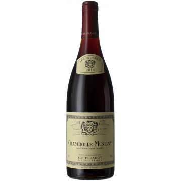 magnum chambolle musigny 2013 louis jadot - Die Welt der Weine