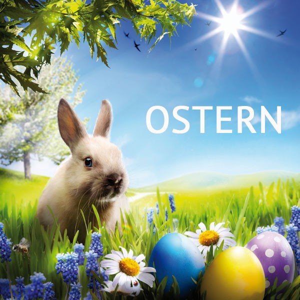 weinpaket ostern - Die Welt der Weine