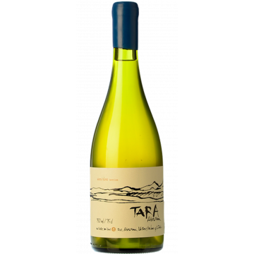 white wine n1 2021 chardonnay tara - Die Welt der Weine