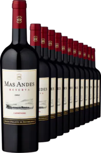 2021 Rothschild Mas Andes Reserva Carmenere im 12er Vorratspaket - Die Welt der Weine