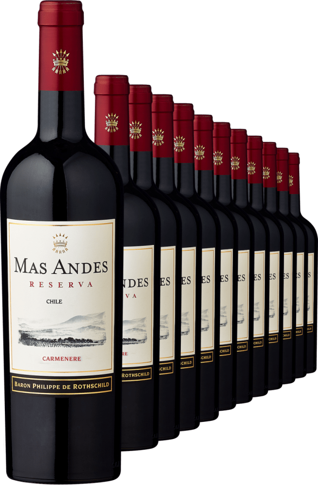 2021 Rothschild Mas Andes Reserva Carmenere im 12er Vorratspaket - Die Welt der Weine